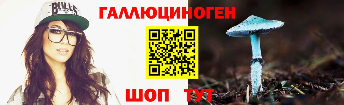 Галлюциногенные грибы мицелий  Вход с VPN  даркнет сайт  Грозный 